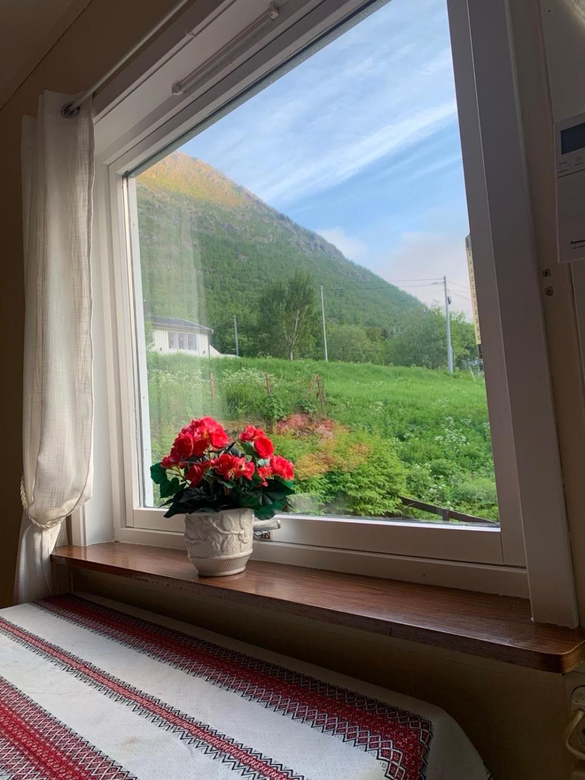 House Apartment Gryllefjord ภายนอก รูปภาพ