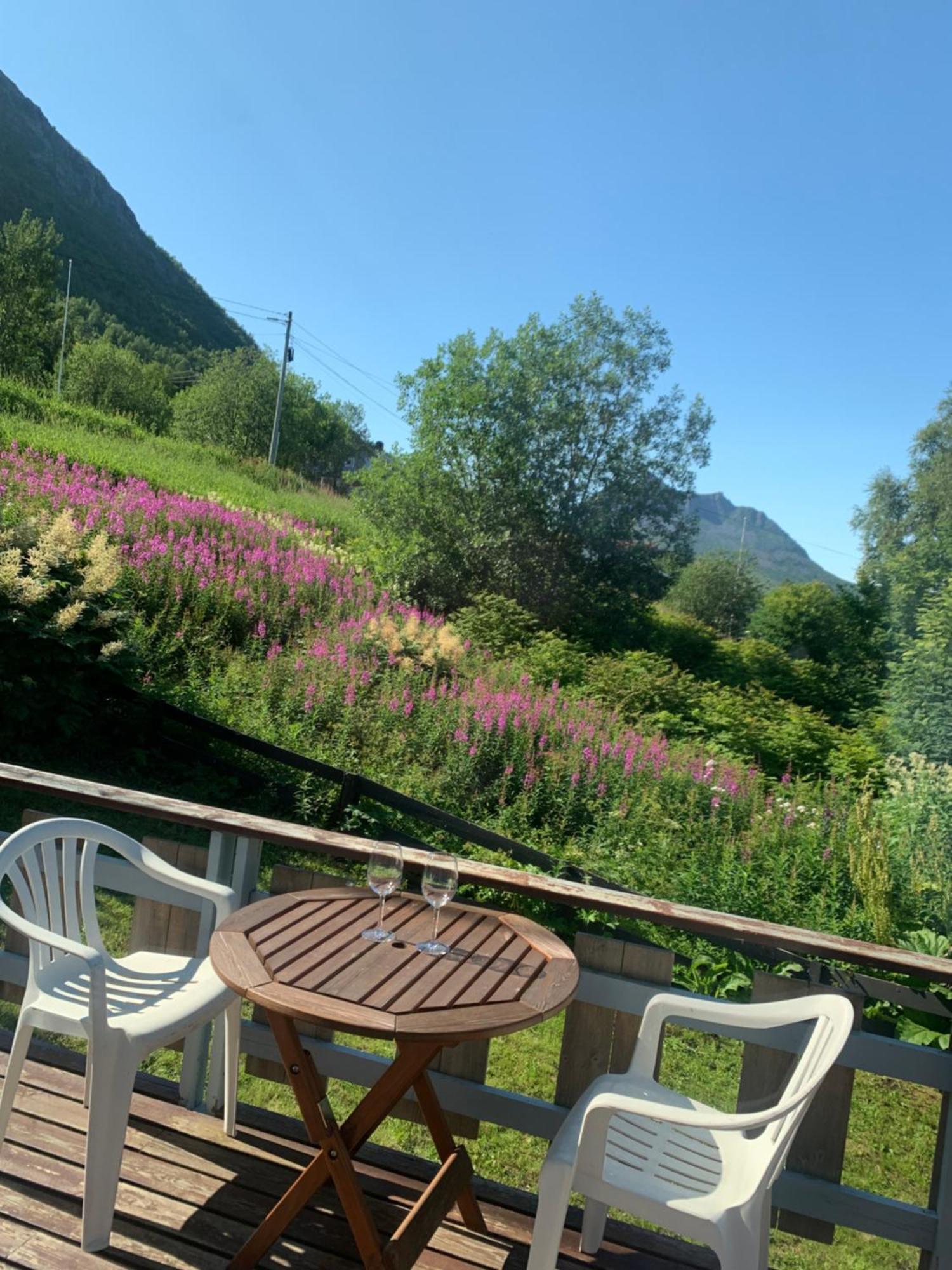 House Apartment Gryllefjord ภายนอก รูปภาพ